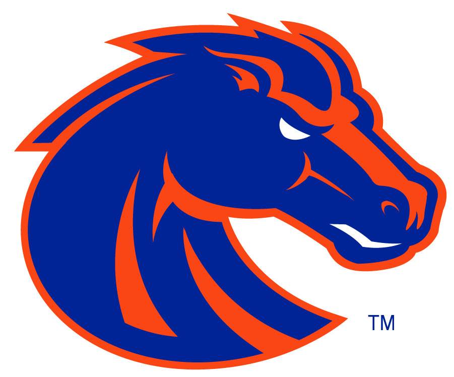 Boise State Broncos 2002-2012 Secondary Logo v6 iron on transfers for clothing